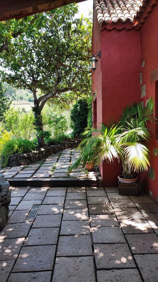 Casa Rural Con Piscina Privada El Roble Moya  Eksteriør bilde