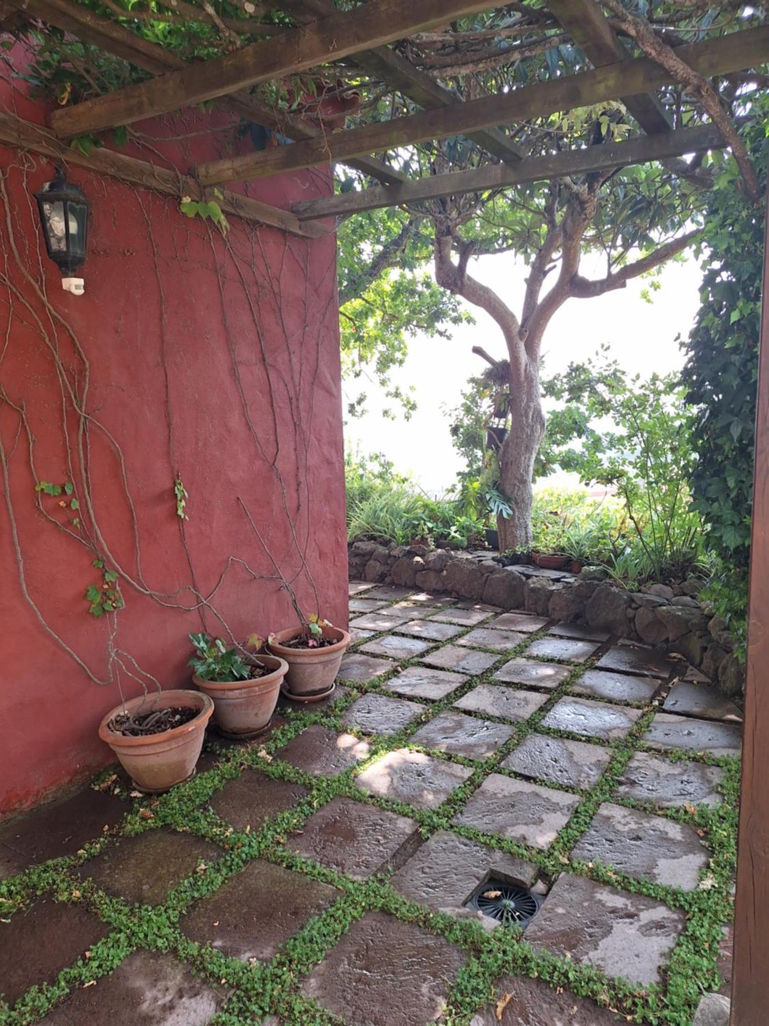 Casa Rural Con Piscina Privada El Roble Moya  Eksteriør bilde