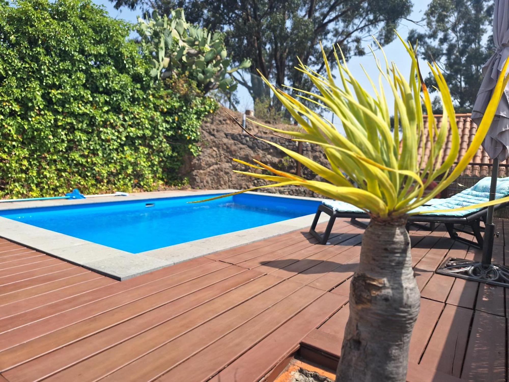 Casa Rural Con Piscina Privada El Roble Moya  Eksteriør bilde