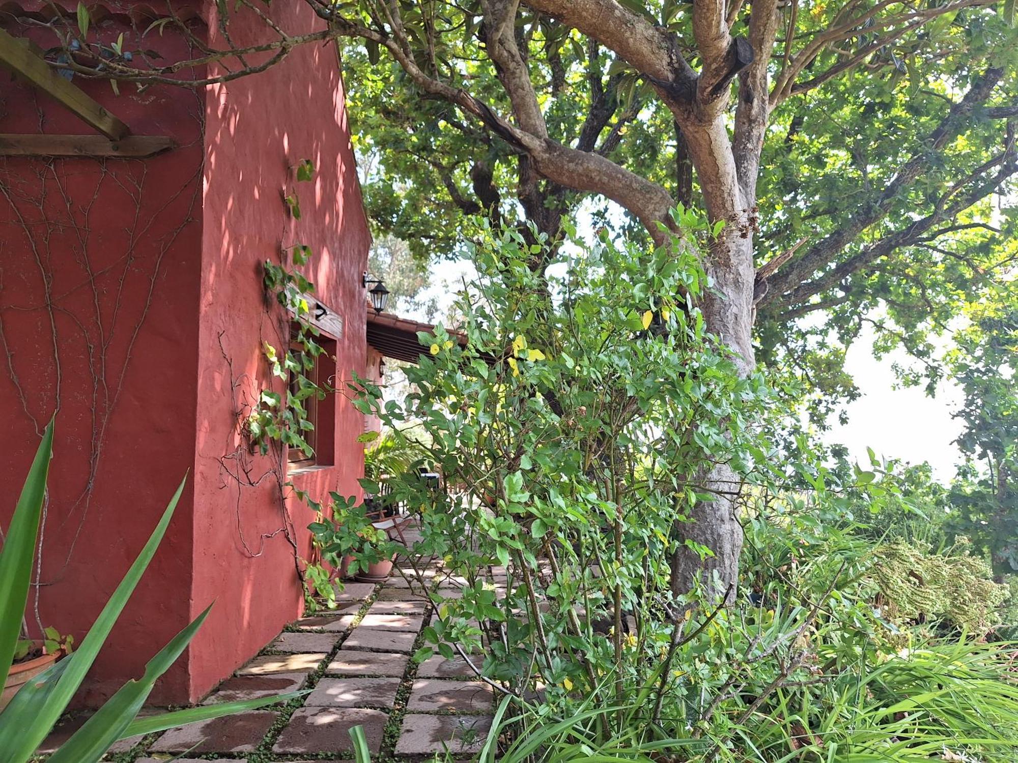 Casa Rural Con Piscina Privada El Roble Moya  Eksteriør bilde